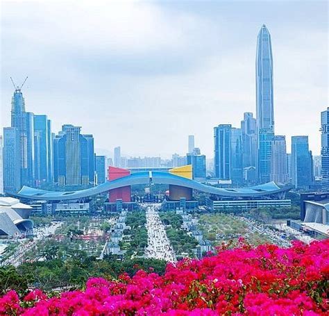 things to do in shenzhen|must see shenzhen.